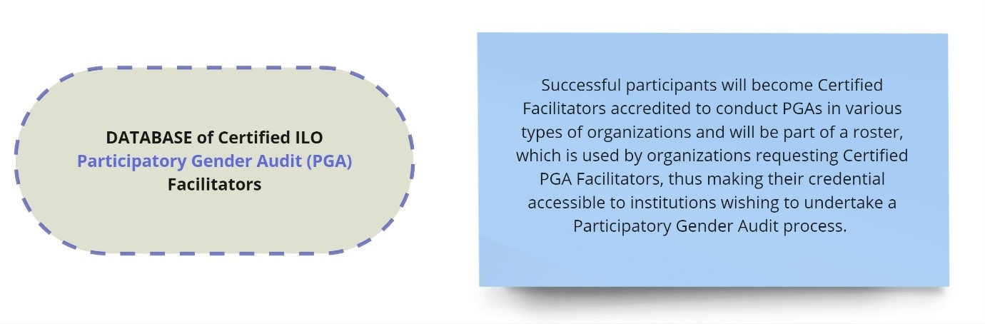 Ilo Participatory Gender Audit Certification Programme Itcilo